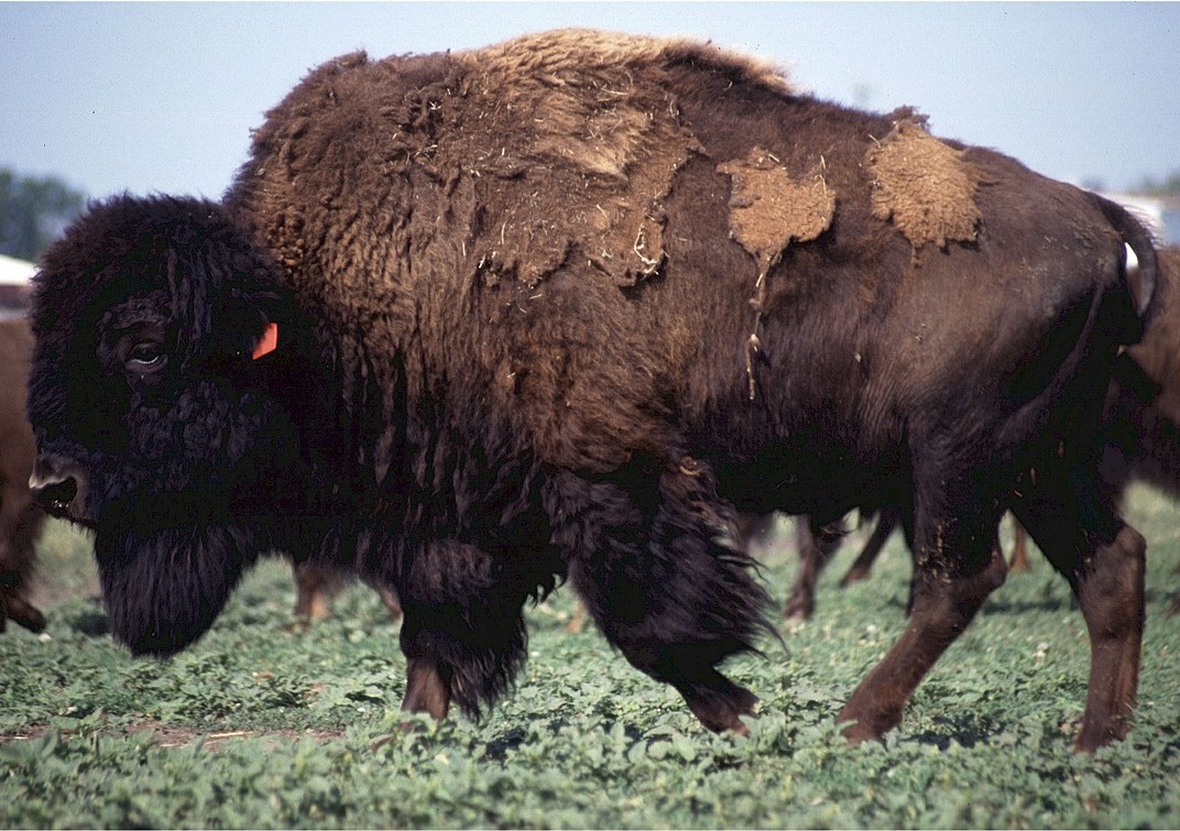 Litości, przecież nie będę gotował.