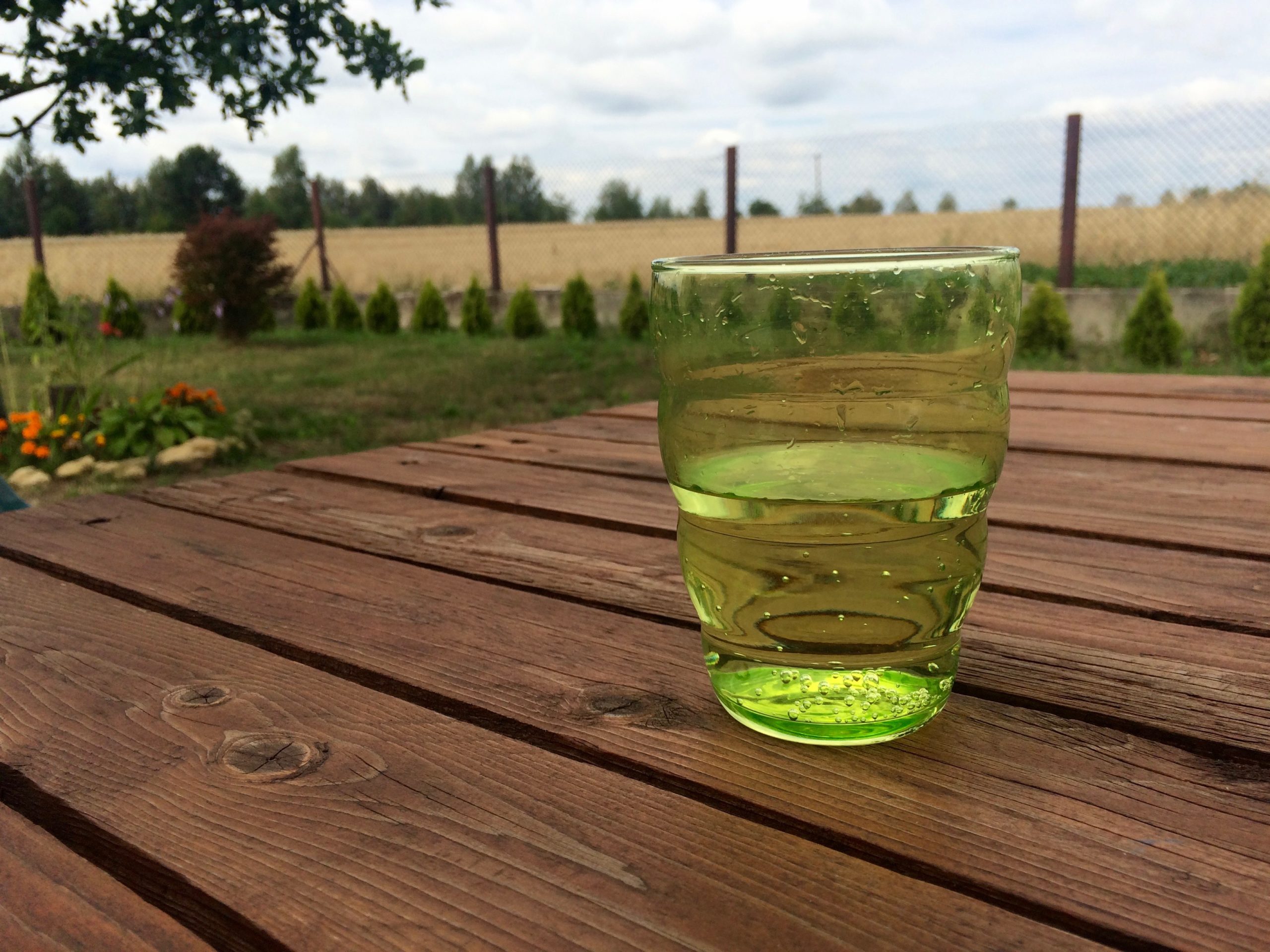 Postanowienia noworoczne – połowa.